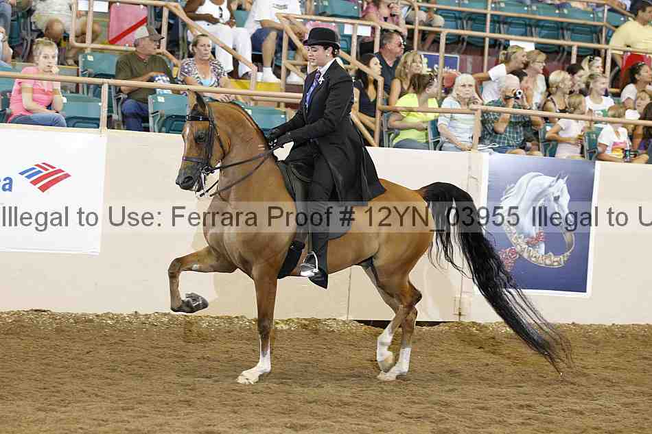 Proof 12yn_03955