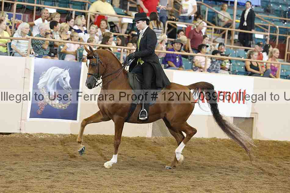 Proof 12yn_03956