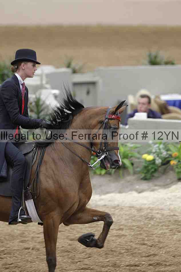 Proof 12yn_03958