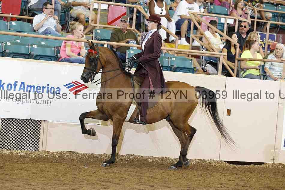Proof 12yn_03959