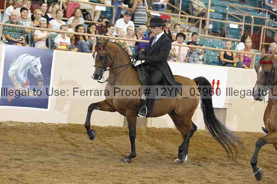 Proof 12yn_03960