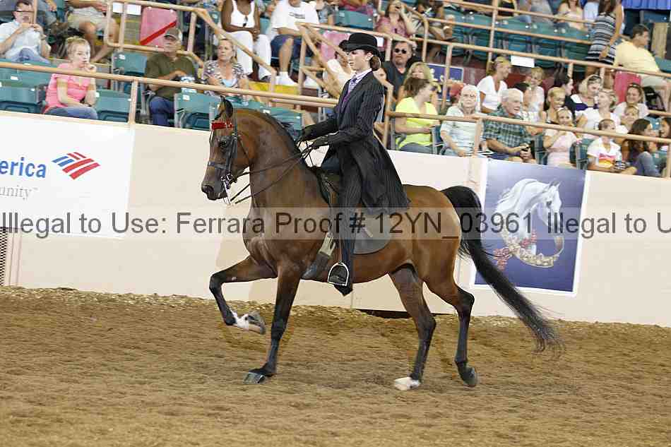 Proof 12yn_03961