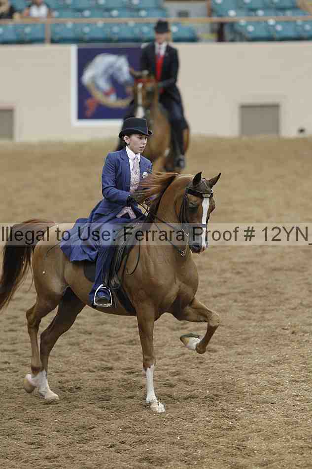 Proof 12yn_03963