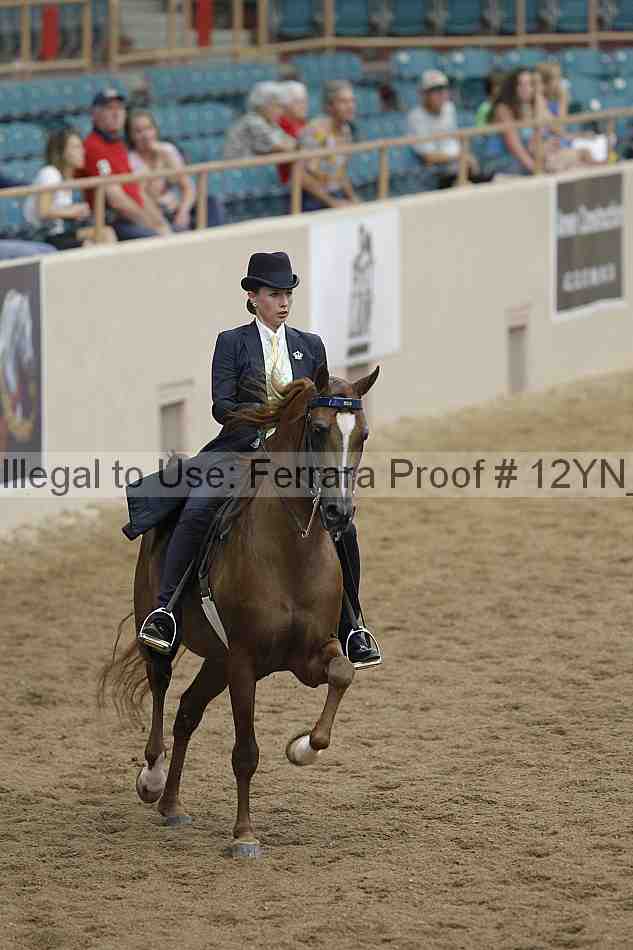 Proof 12yn_03964