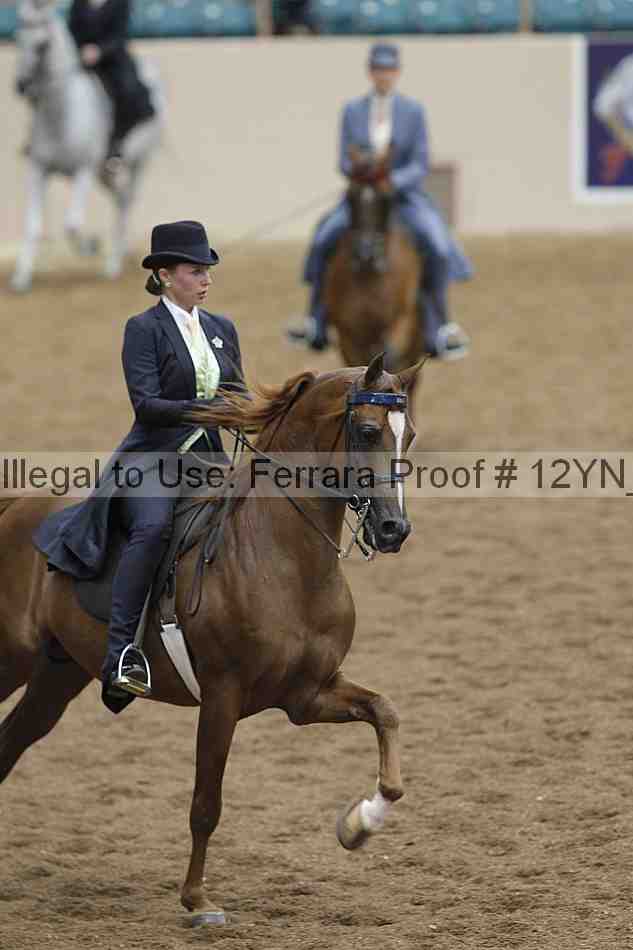 Proof 12yn_03965