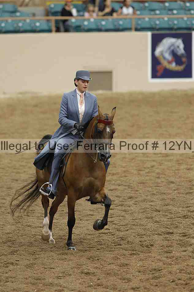 Proof 12yn_03966