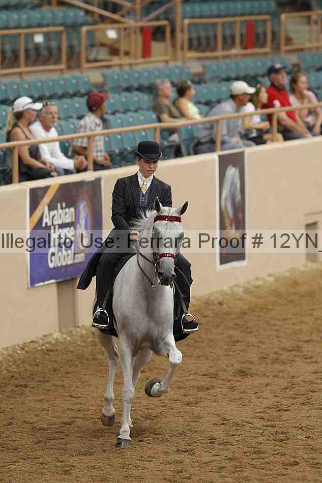 Proof 12yn_03967