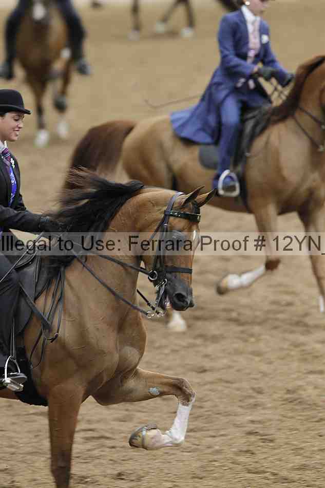 Proof 12yn_03969