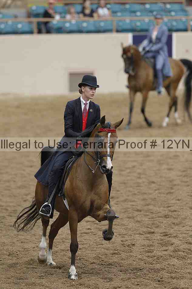 Proof 12yn_03970