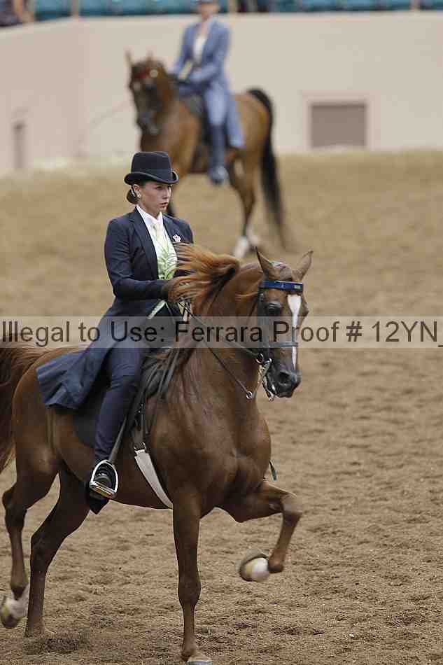 Proof 12yn_03971