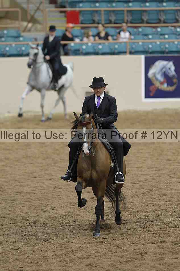 Proof 12yn_03973