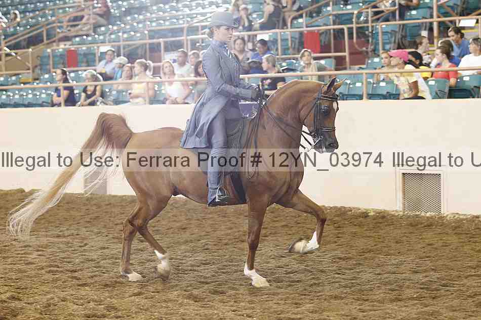 Proof 12yn_03974
