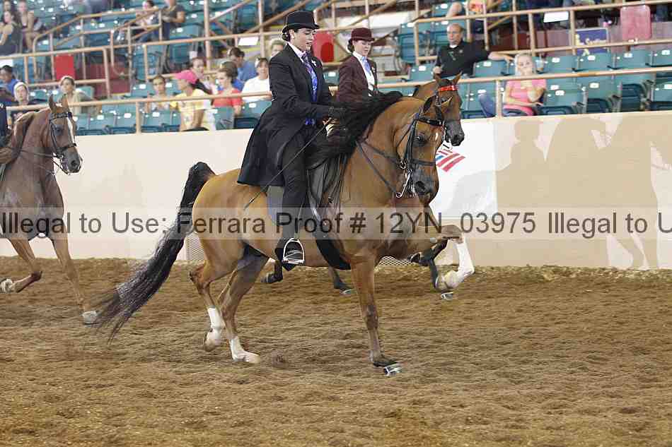 Proof 12yn_03975