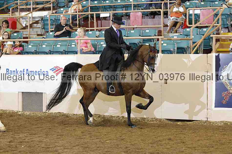 Proof 12yn_03976