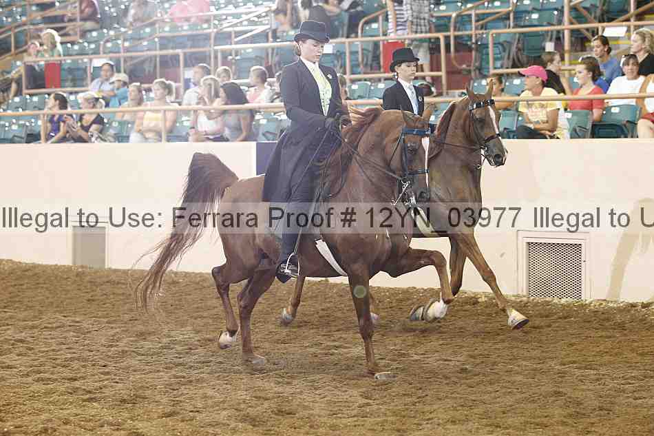 Proof 12yn_03977