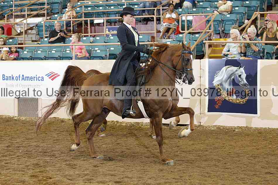 Proof 12yn_03978