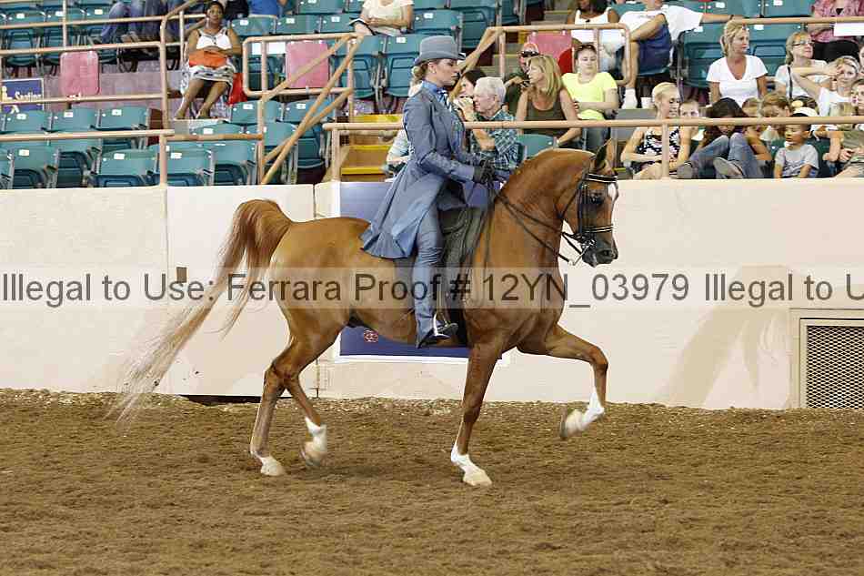 Proof 12yn_03979