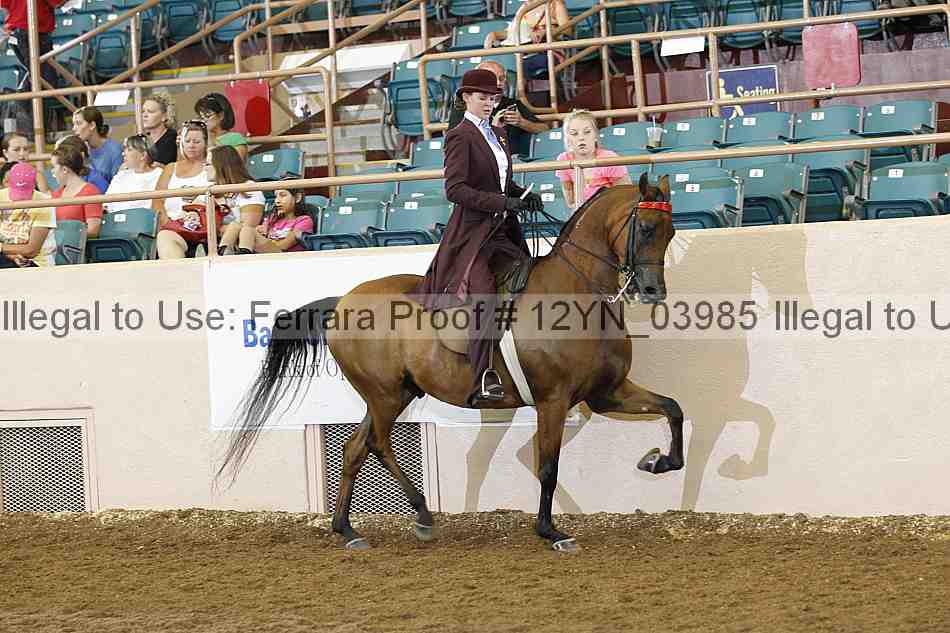 Proof 12yn_03985