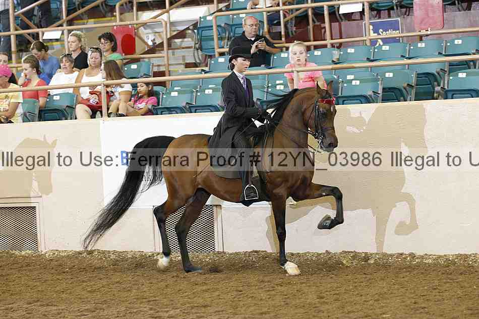 Proof 12yn_03986