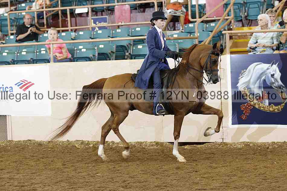 Proof 12yn_03988