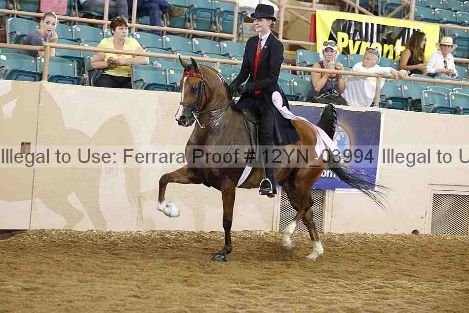 Proof 12yn_03994