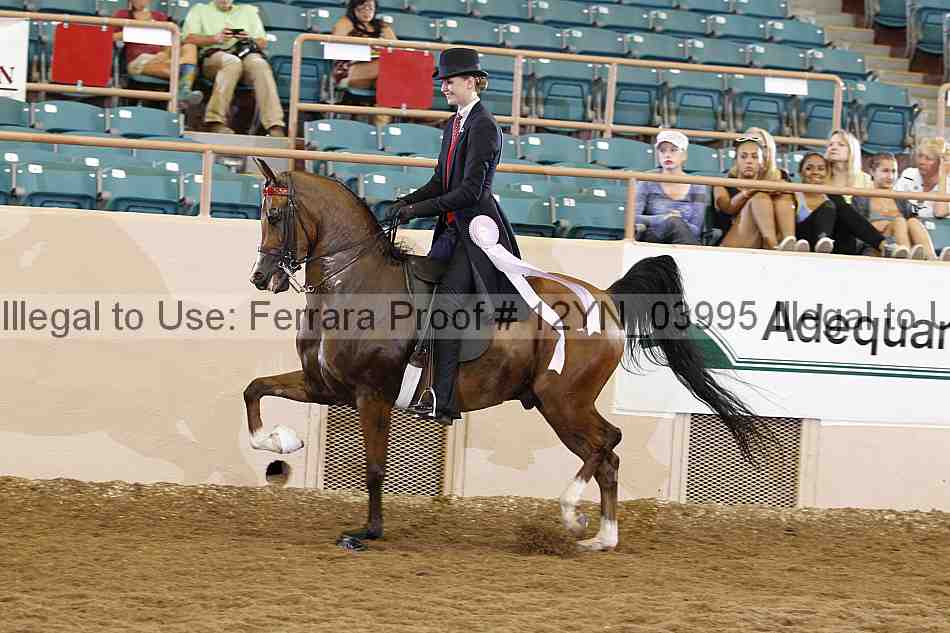 Proof 12yn_03995
