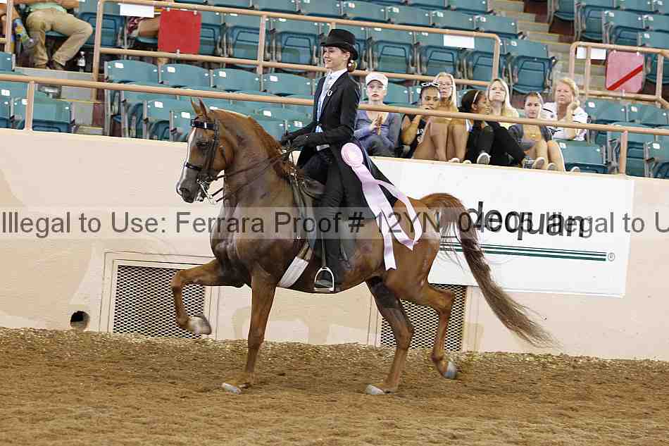 Proof 12yn_04005
