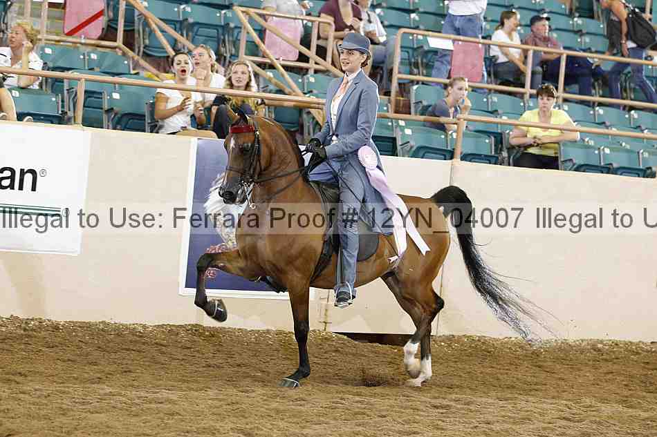Proof 12yn_04007