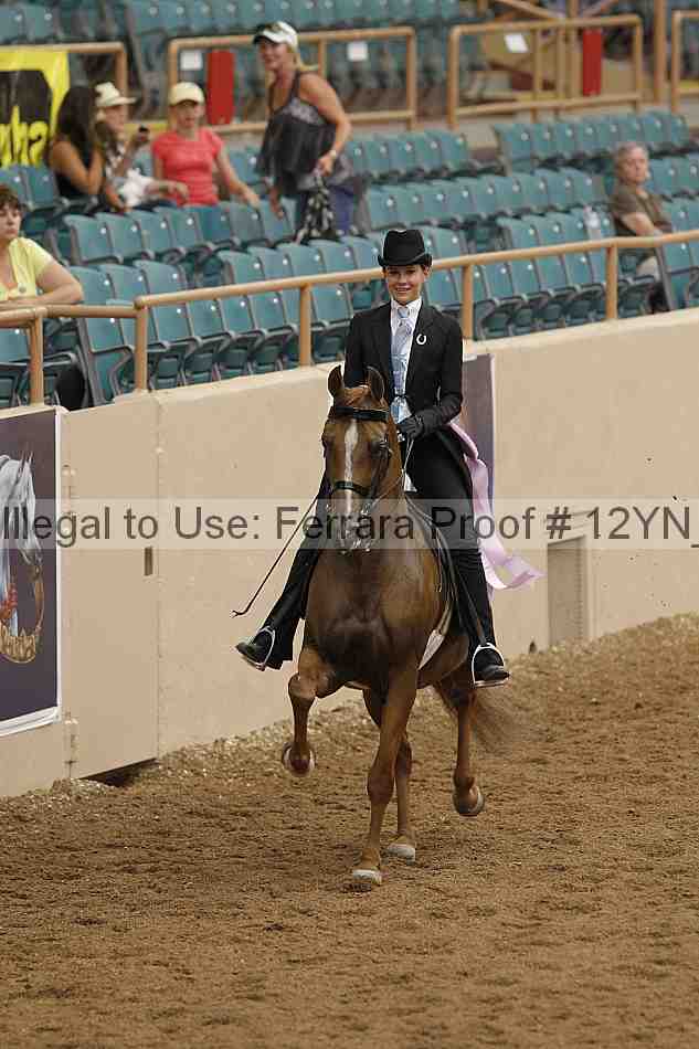 Proof 12yn_04008