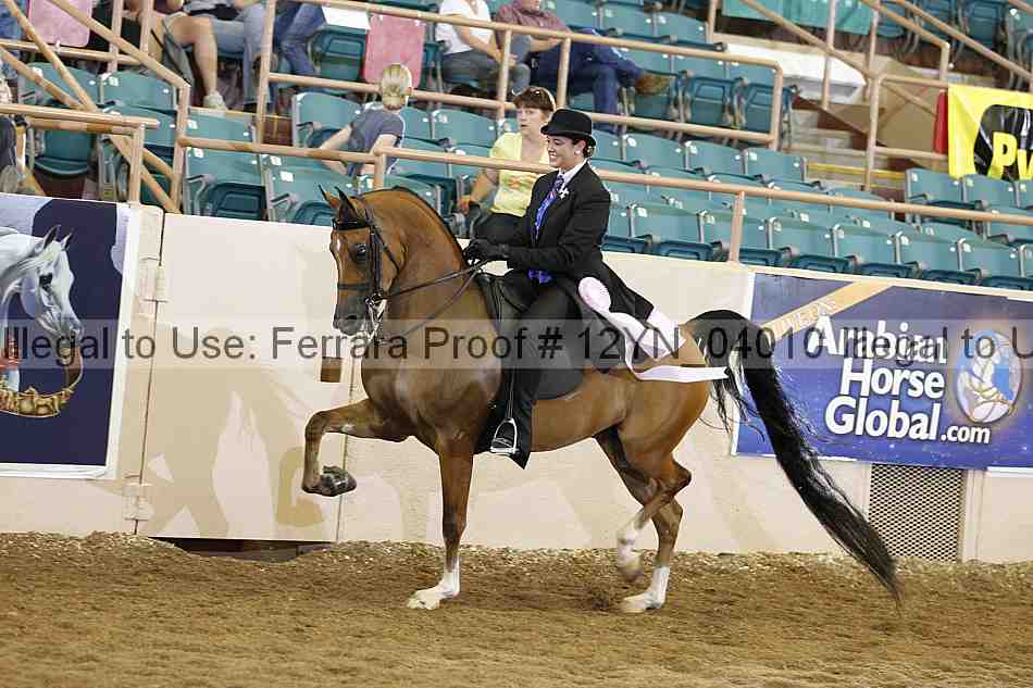Proof 12yn_04010