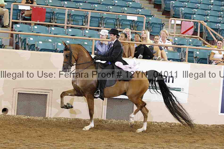 Proof 12yn_04011