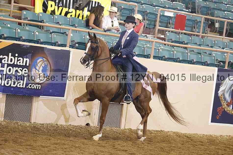Proof 12yn_04015
