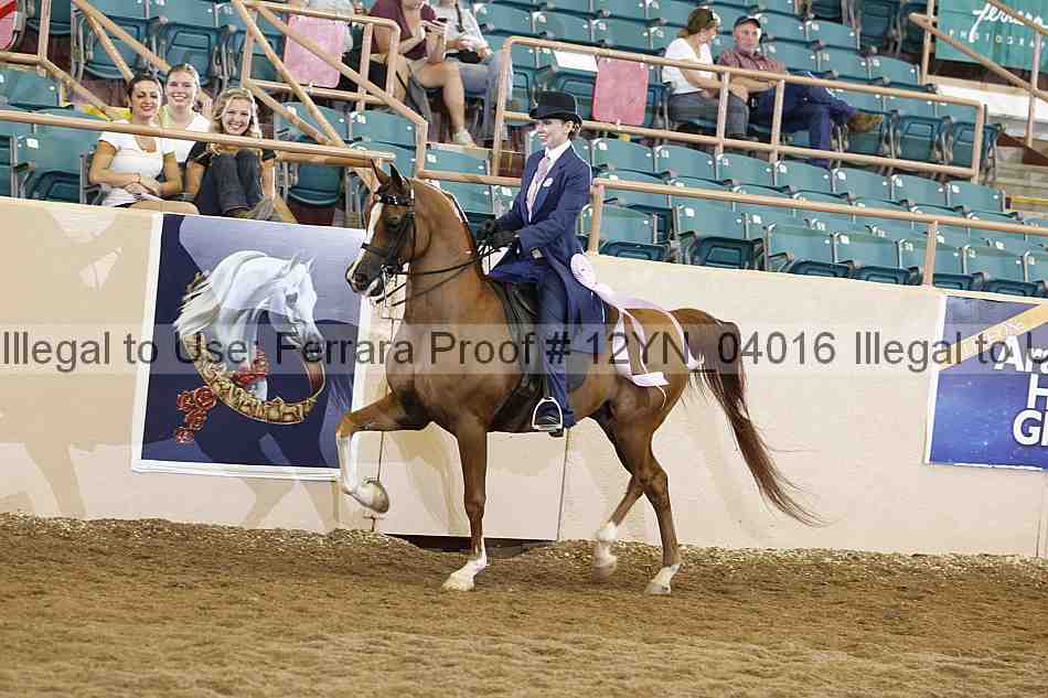 Proof 12yn_04016