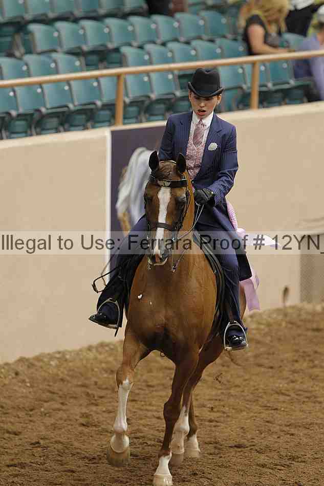 Proof 12yn_04021