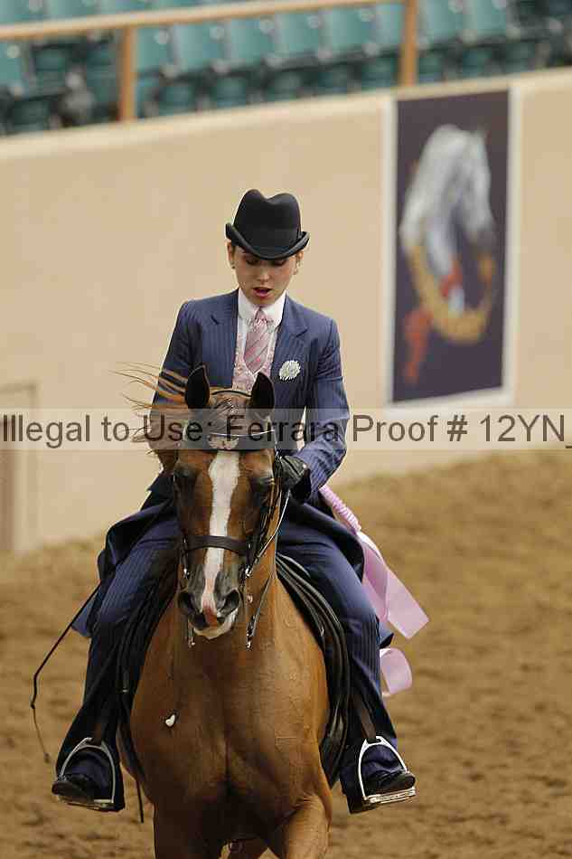 Proof 12yn_04022