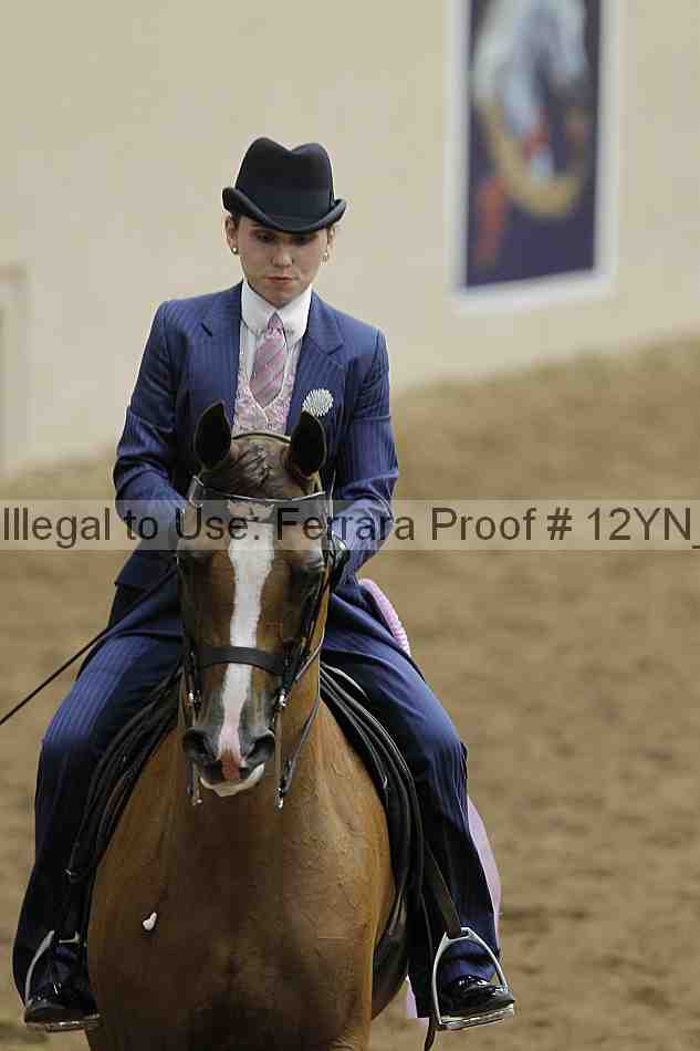 Proof 12yn_04023