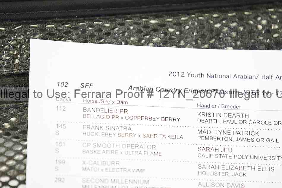 Proof 12yn_20670