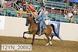 12yn_20682 proof