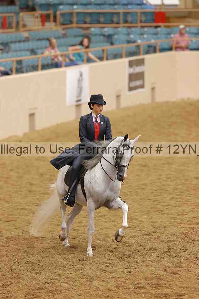 Proof 12yn_20686