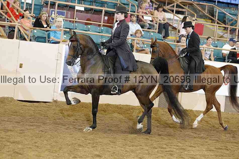 Proof 12yn_20696