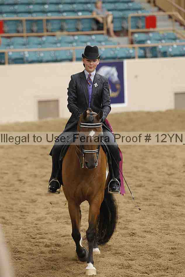 Proof 12yn_20778