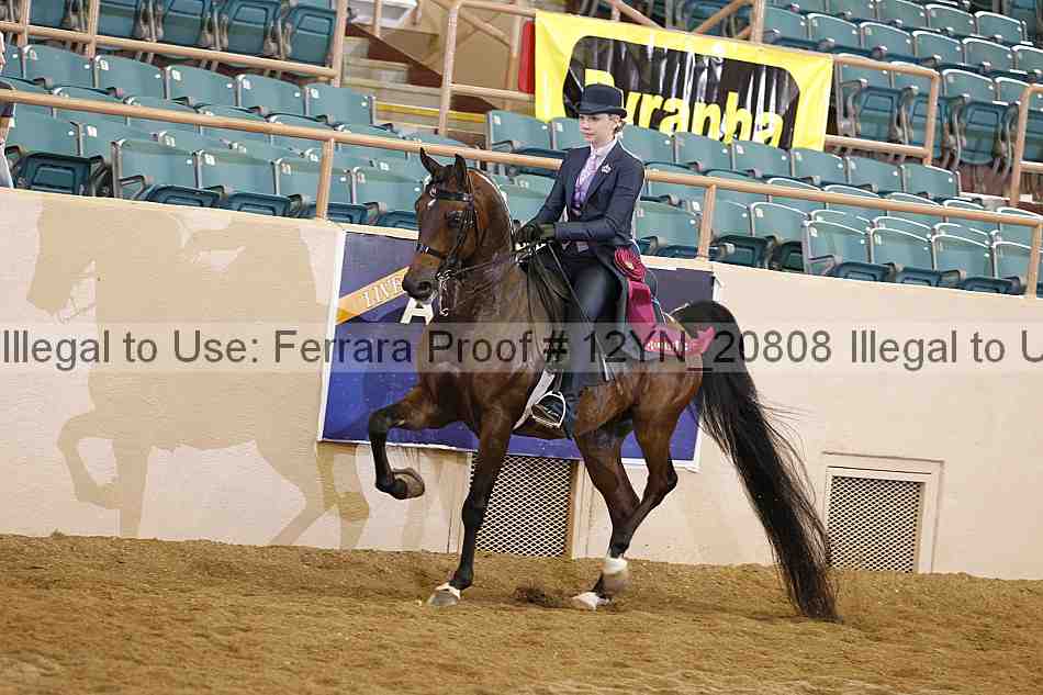 Proof 12yn_20808