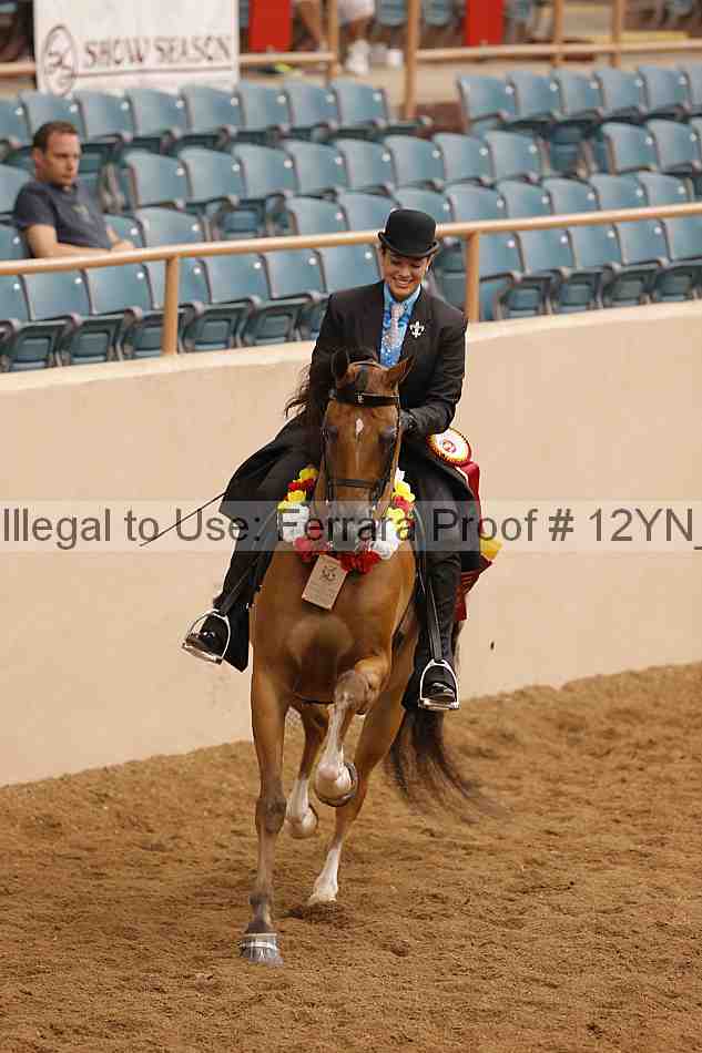 Proof 12yn_20855
