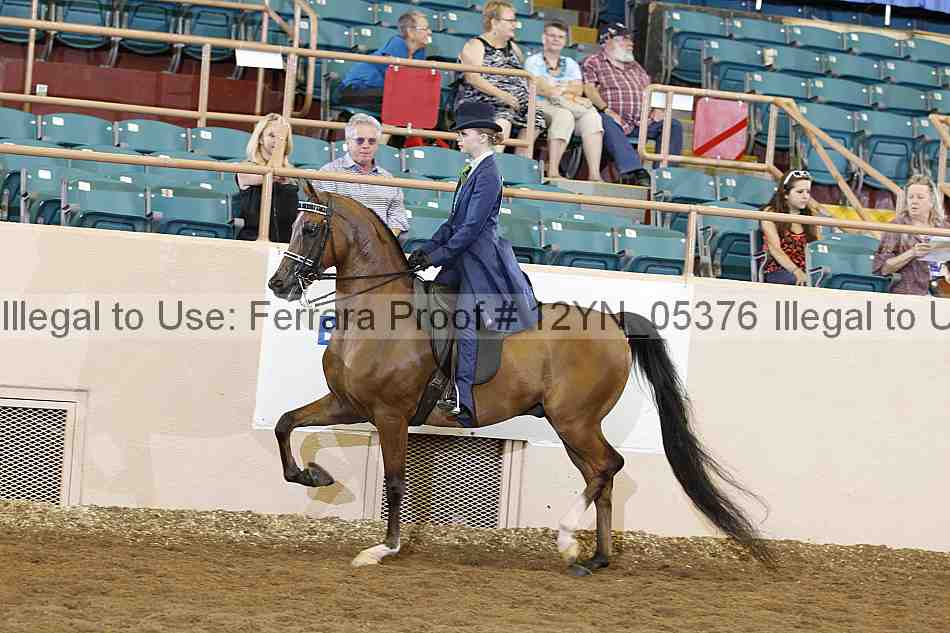 Proof 12yn_05376