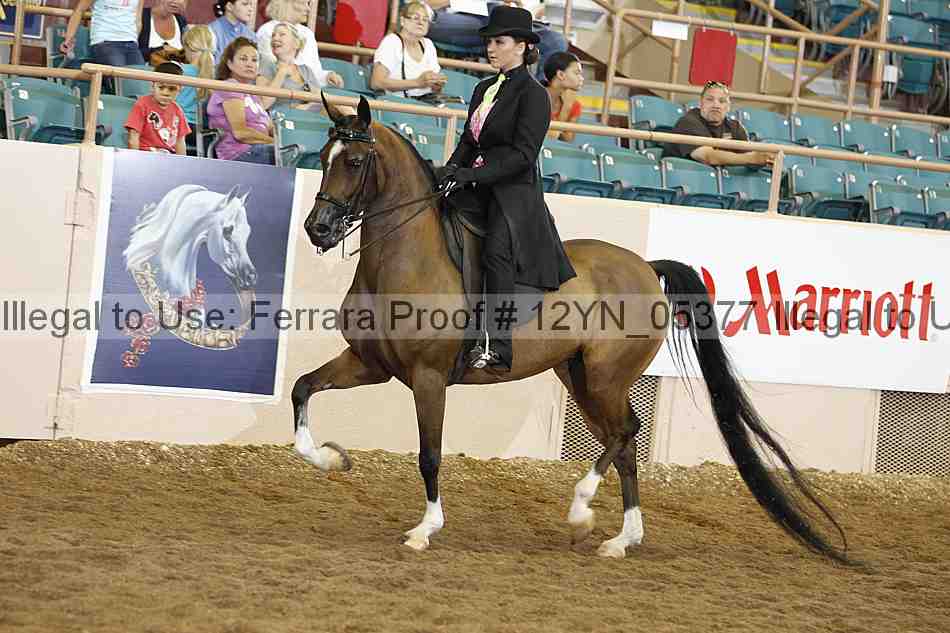 Proof 12yn_05377