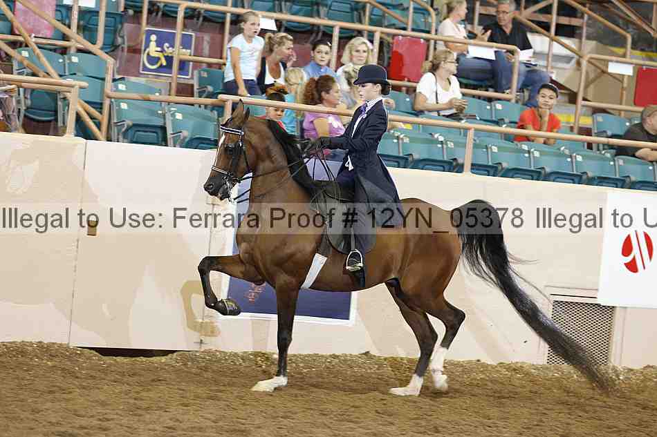Proof 12yn_05378