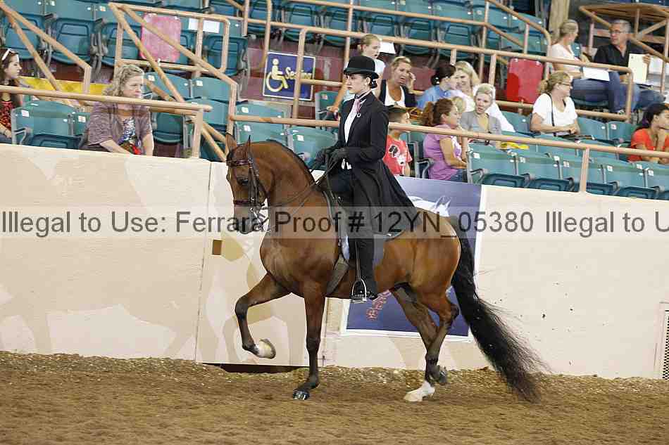 Proof 12yn_05380