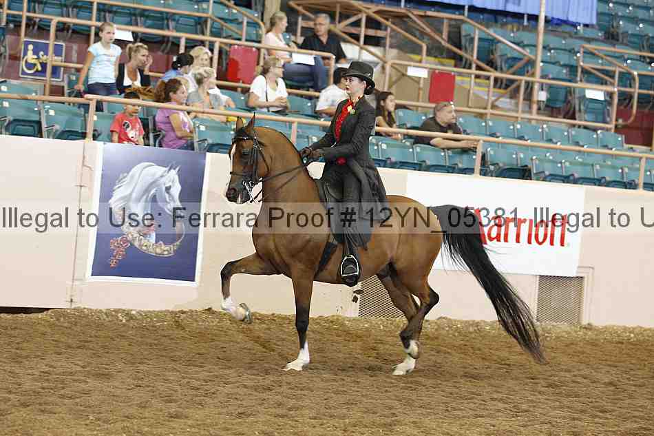 Proof 12yn_05381