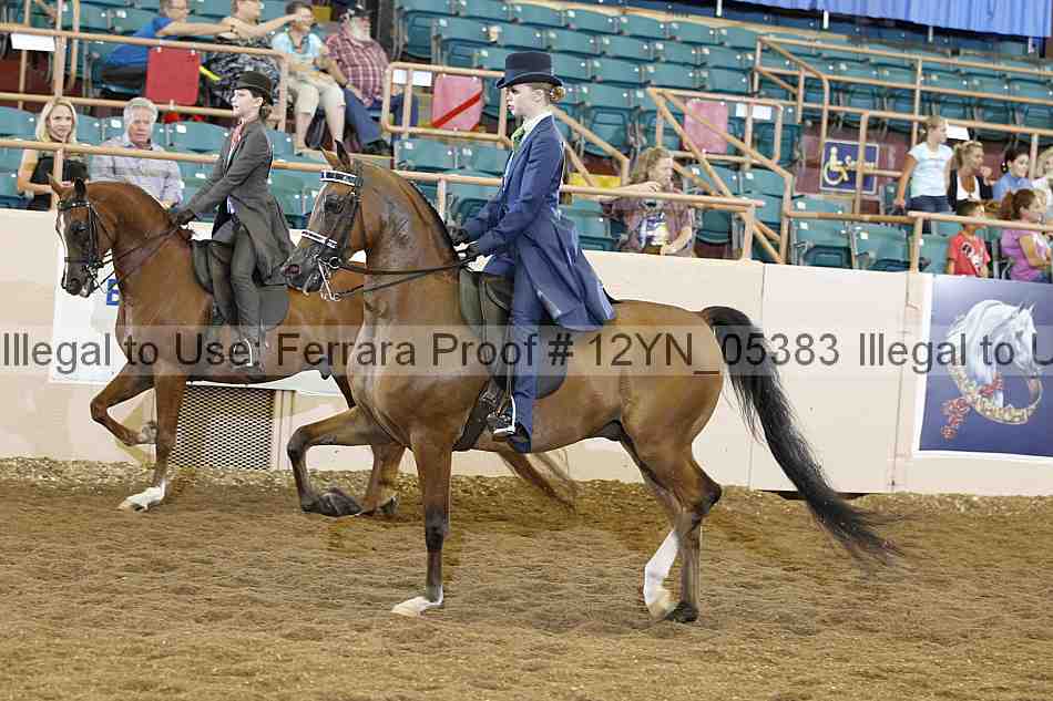 Proof 12yn_05383
