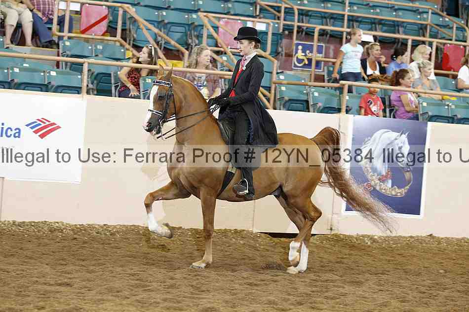 Proof 12yn_05384